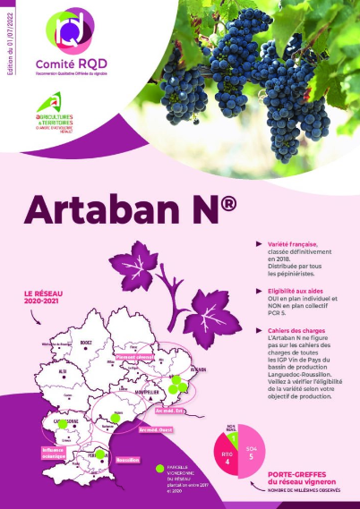 Artaban