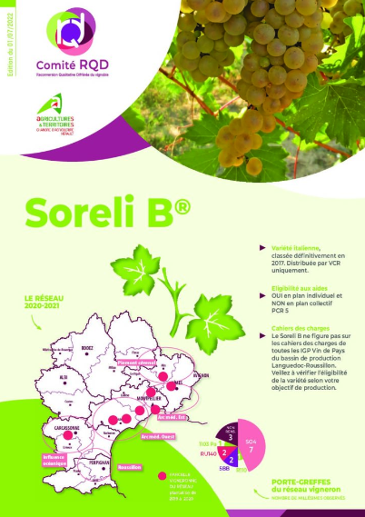 Soreli