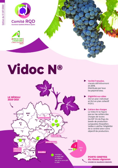 Vidoc