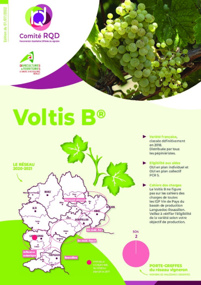 Voltis