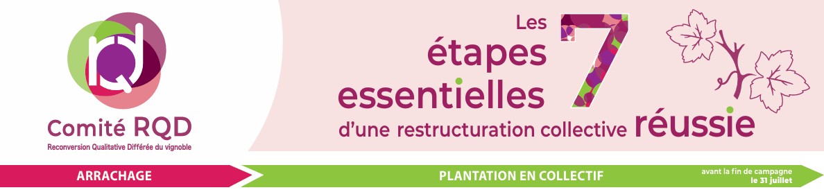 L'essentiel des démarches 2025
